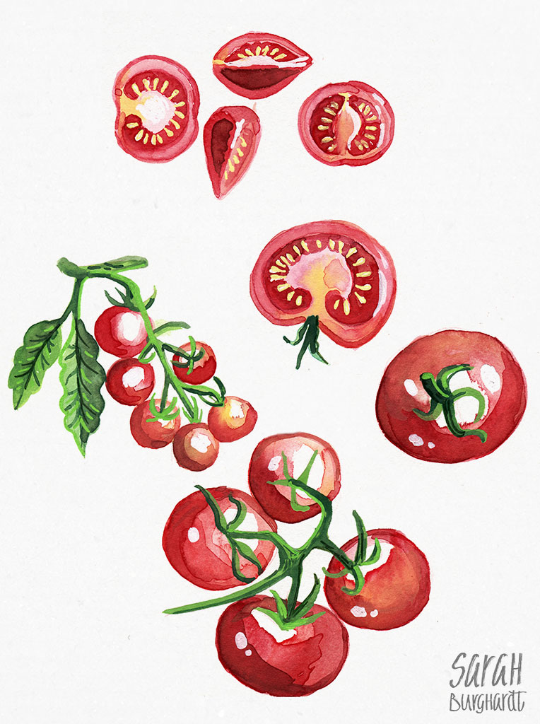 Illustration Tomaten Watercolor